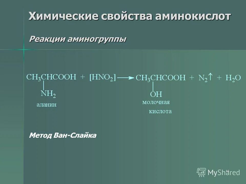 аминокислота азотистая