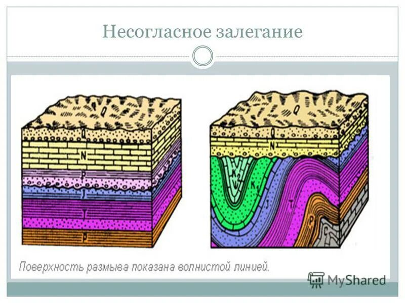 Форма залегания породы