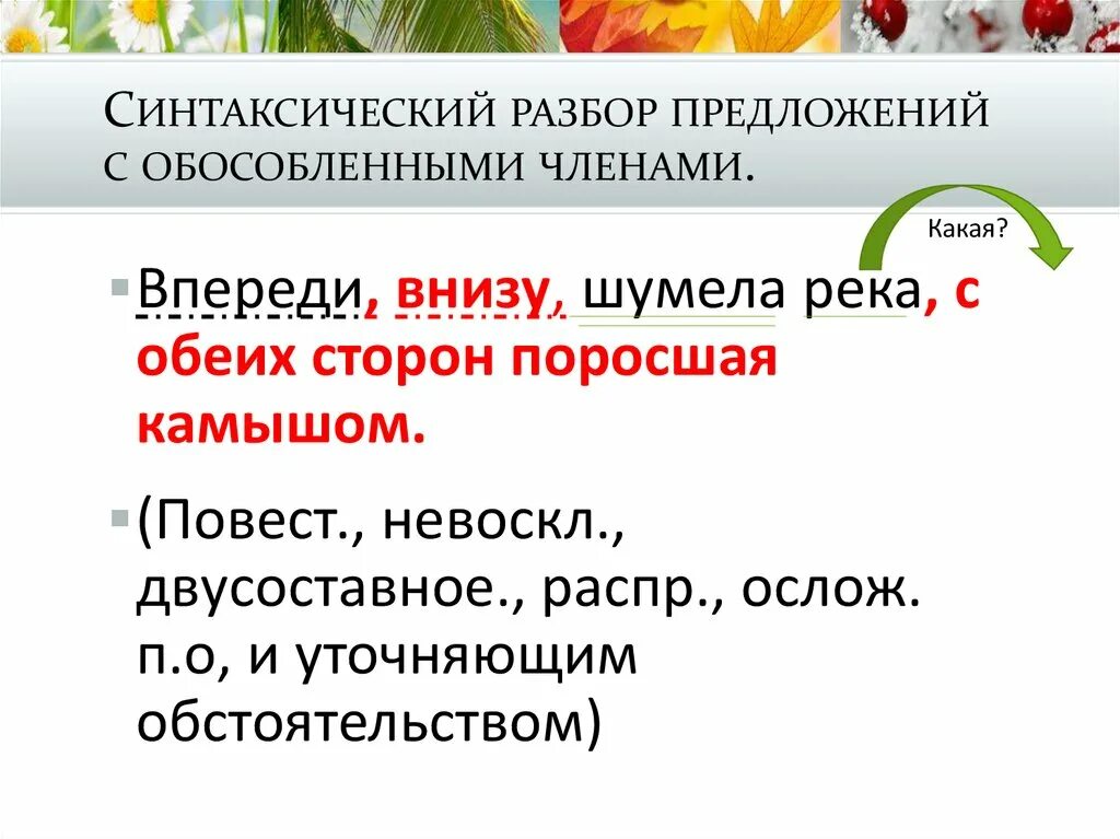 Передний ее край вытягивается рукавом синтаксический разбор. Синтаксический разбор предложения с обособленными. синтаксический разбор анализ.