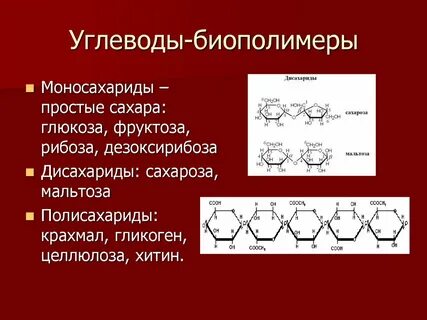 Строение мономера строение полимера