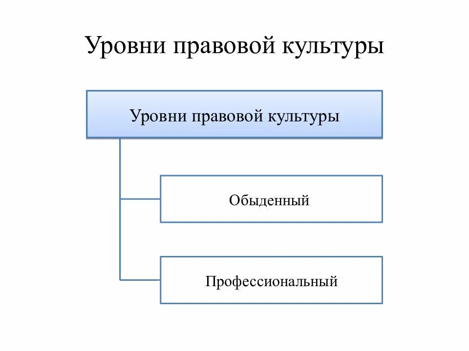 Профессиональный уровень правовой системы. Профессиональный уровень правовой системы. Особенности юридической этики. Профессиональный уровень правовой системы. Правосознание и правовая культура.
