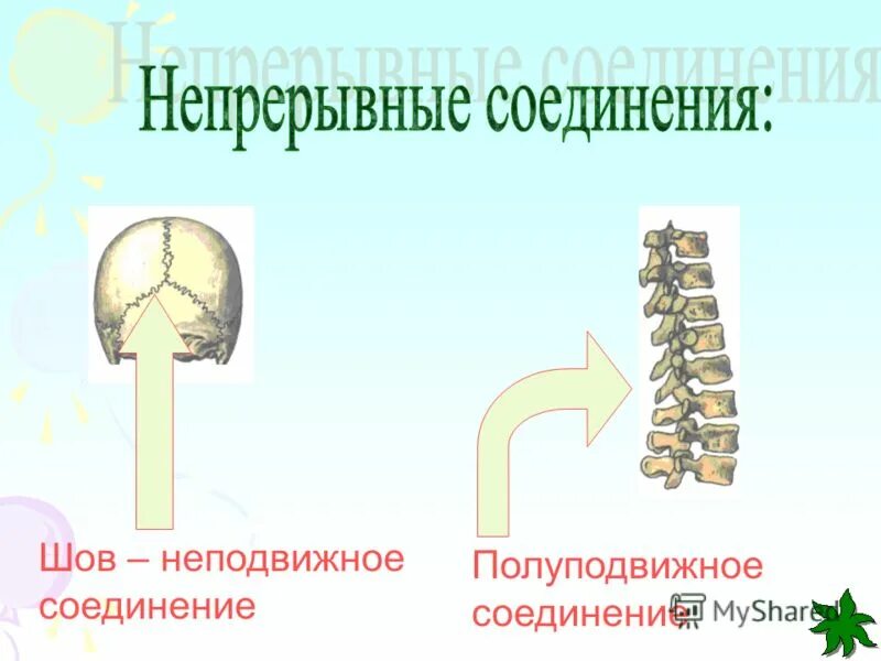 5 неподвижные соединения