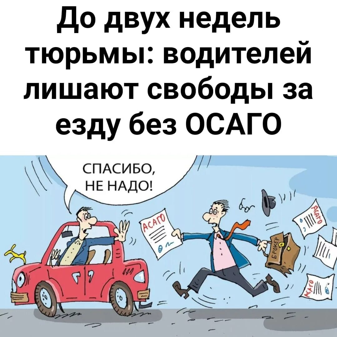 Езда без ОСАГО. ОСАГО без напряга. Кто ездит без ОСАГО тот. Согласно п 11 ездить без ОСАГО нельзя форум.