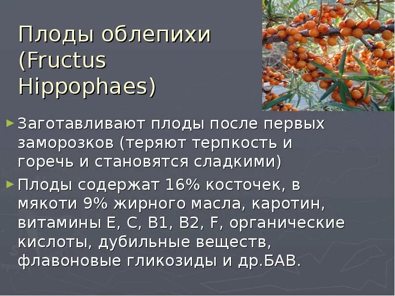 Почему картофель становится сладким после подмораживания. Плоды заготавливают. Плоды облепихи сырье. Сырье Fructus заготавливают от растения. Облепиха плод в разрезе.