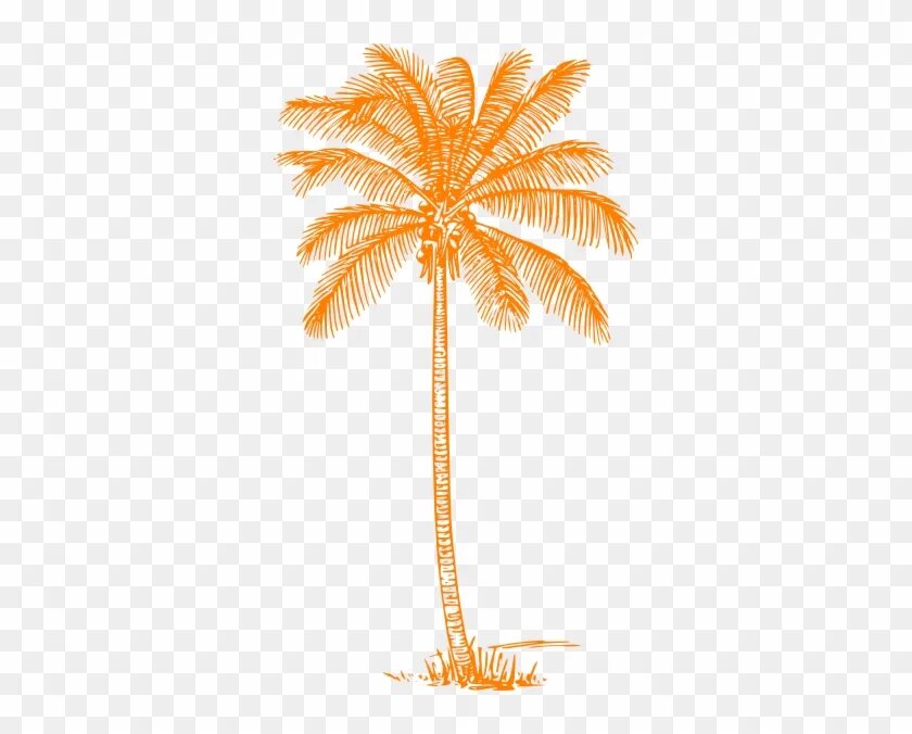 Coral palm. Оранжевая Пальма. Коралловая Пальма. Оранжевая Пальма рисунок. Пальмы оранжевые на прозрачном фоне.
