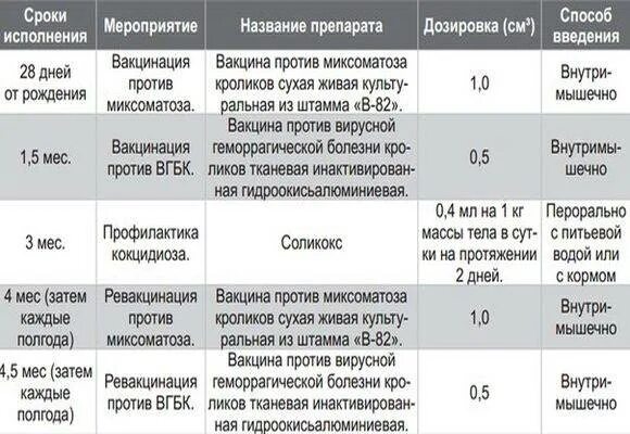 Вакцина от миксоматоза кроликов. Вакцина ВГБК+миксоматоз ассоциированная сухая. Прививки кроликам от миксоматоза и ВГБК. Название вакцины от миксоматоза кроликов. Вакцина против миксоматоза и вгбк