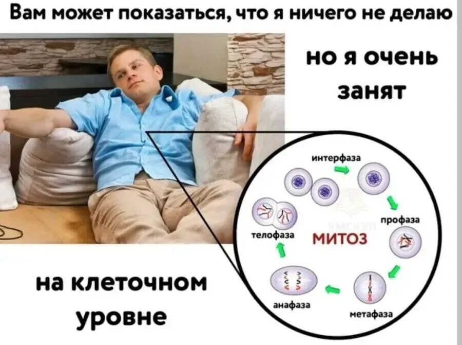 Биологические шутки. Мемы про ЕГЭ по биологии. Мемы про биологию. Анекдоты про биологию. Может быть показалось текст