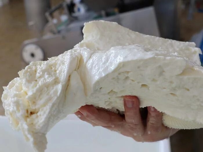 Сыр моцарелла в домашних. Творожный сыр моцарелла. Приготовление сыра моцарелла. Сыр из волокон. Как делают сыр моцарелла.