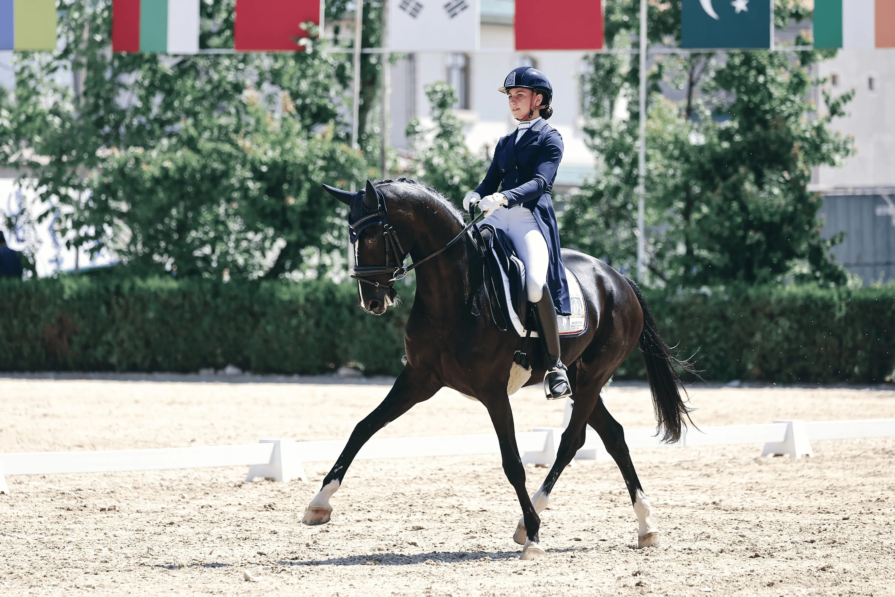 Equestrian olympic. Де кюр. Де кюр. Конный спорт в испании. Кюр-дили.