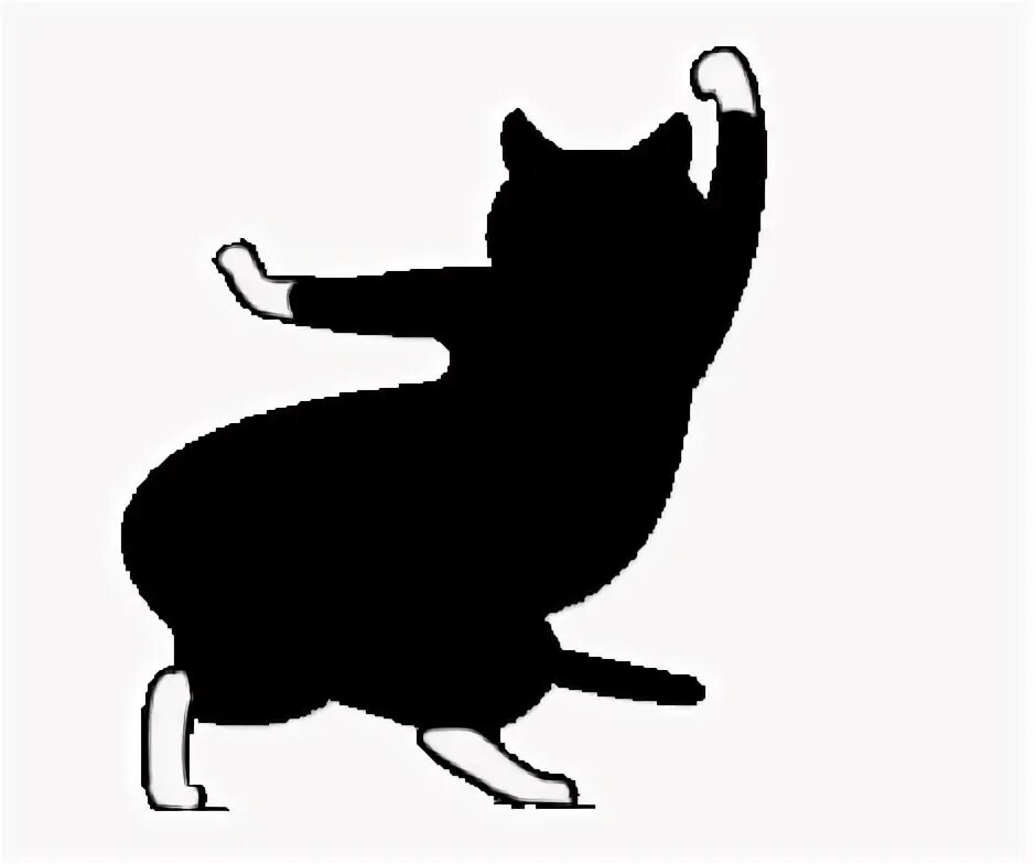 Танцующие котики гиф. Танцующая кошка. Гифка Танцующий кот. Гифка танцующего кота. Гифка кот танцует.