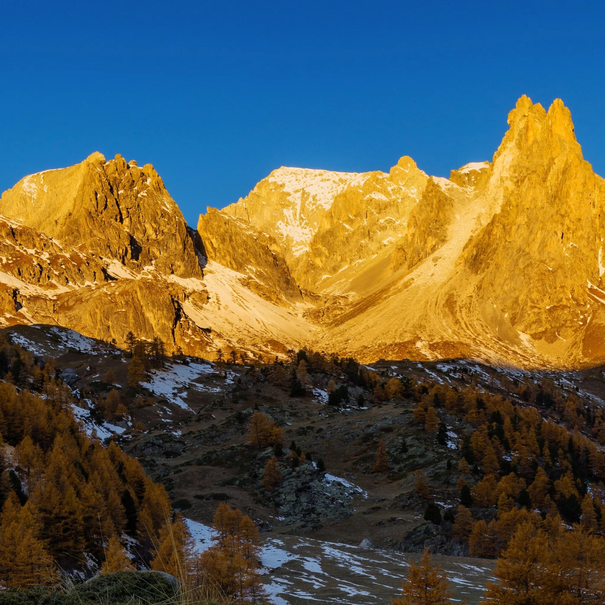 Discover the Beauty of Huangshan Mountain