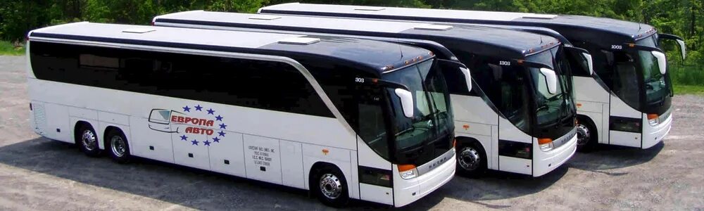 File:New Horizons bus (N661 JNO), 2010 North Weald bus rally.jpg - Wikimedia Com