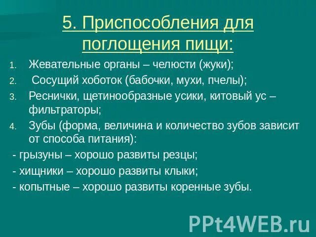 Виды поглощаемое пищи. Приспособления для питания животных. Приспособления животных для поглощения пищи. Приспособления для питания животных таблица. Приспособленности к питанию.