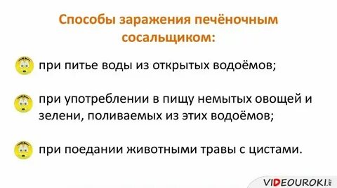 Пути заражения печеночным сосальщиком