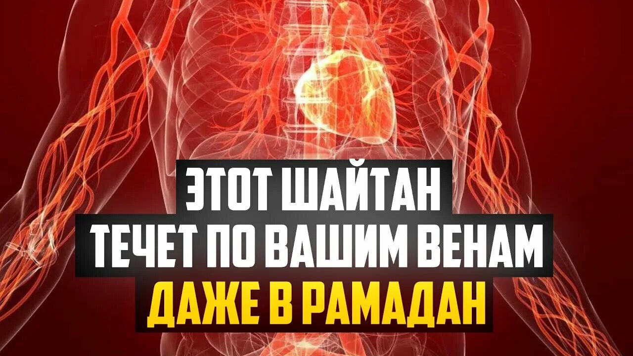 В рамадан заковываются шайтаны. Шайтаны в Рамадан. Шайтаны заковываются в цепи в месяц Рамадан. В месяц Рамадан шайтаны закованы. В месяц Рамадан шайтаны закованы в цепи.