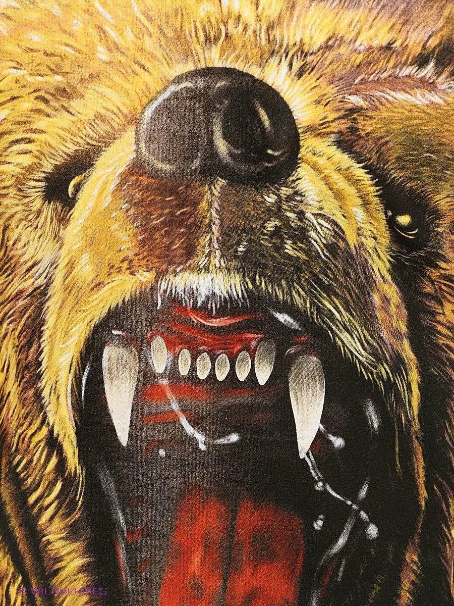 Русский медведь телефон. Медведь Гризли оскал. Медведь Гризли злой. Грозный медведь Гризли. Злой медведь арт.
