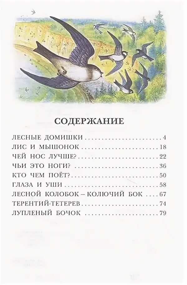 ). ). Бианки лесные домишки читательский дневник 2. Лесные домишки бианки читательский дневник. Бианки лесные домишки читательский дневник 2.
