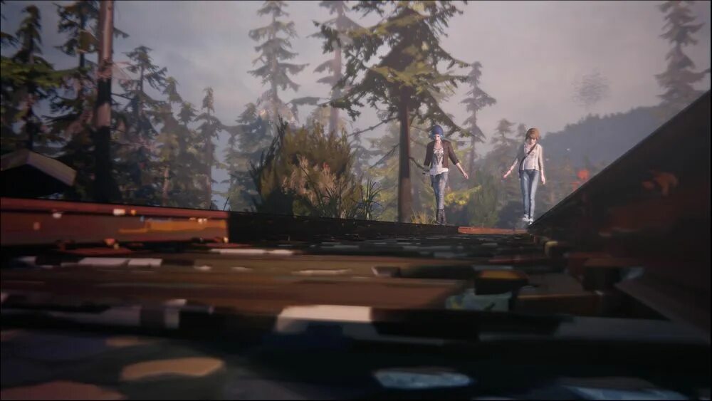 Макс Колфилд. Life is Strange на рабочий стол. Life is Strange бутылки. Life is Strange gif Chloe Price. Ценою жизни 6