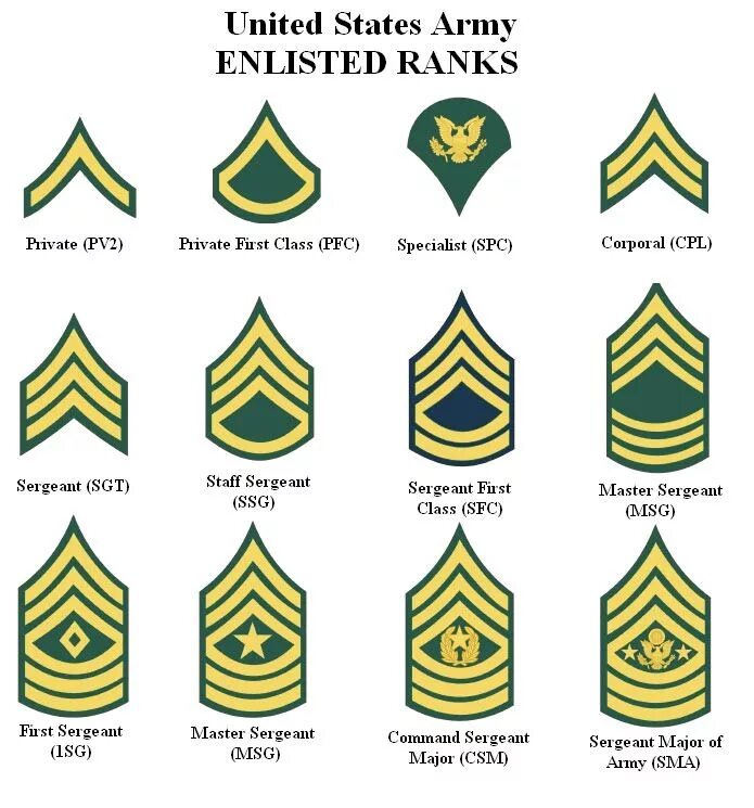 Ранги в армии сша. Army ranks. Army ranks. Звания us army. Погоны и звания армии великобритании.