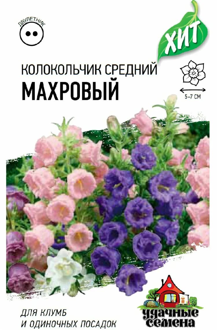 Семена колокольчика махрового. Колокольчик средний махровый, смесь, 0,05г, удачные семена. Семена Гавриш колокольчик махровый 0,1г,. Колокольчик средний махровый двулетник. Колокольчик Кампанула семена.