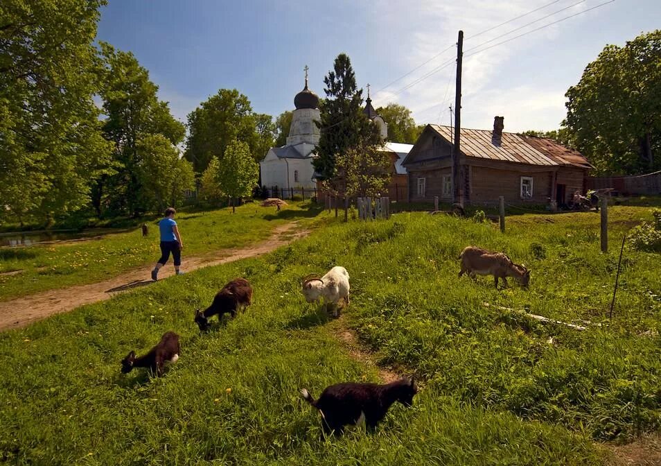 Страстная деревня. Деревня. Российская деревня. Вид на деревню. Деревня деревенька.