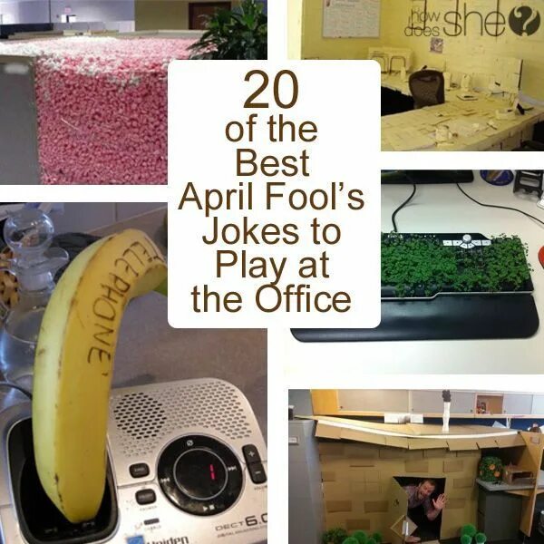 1 April jokes. April Fool's Day jokes. Febuary jokes. April jokes