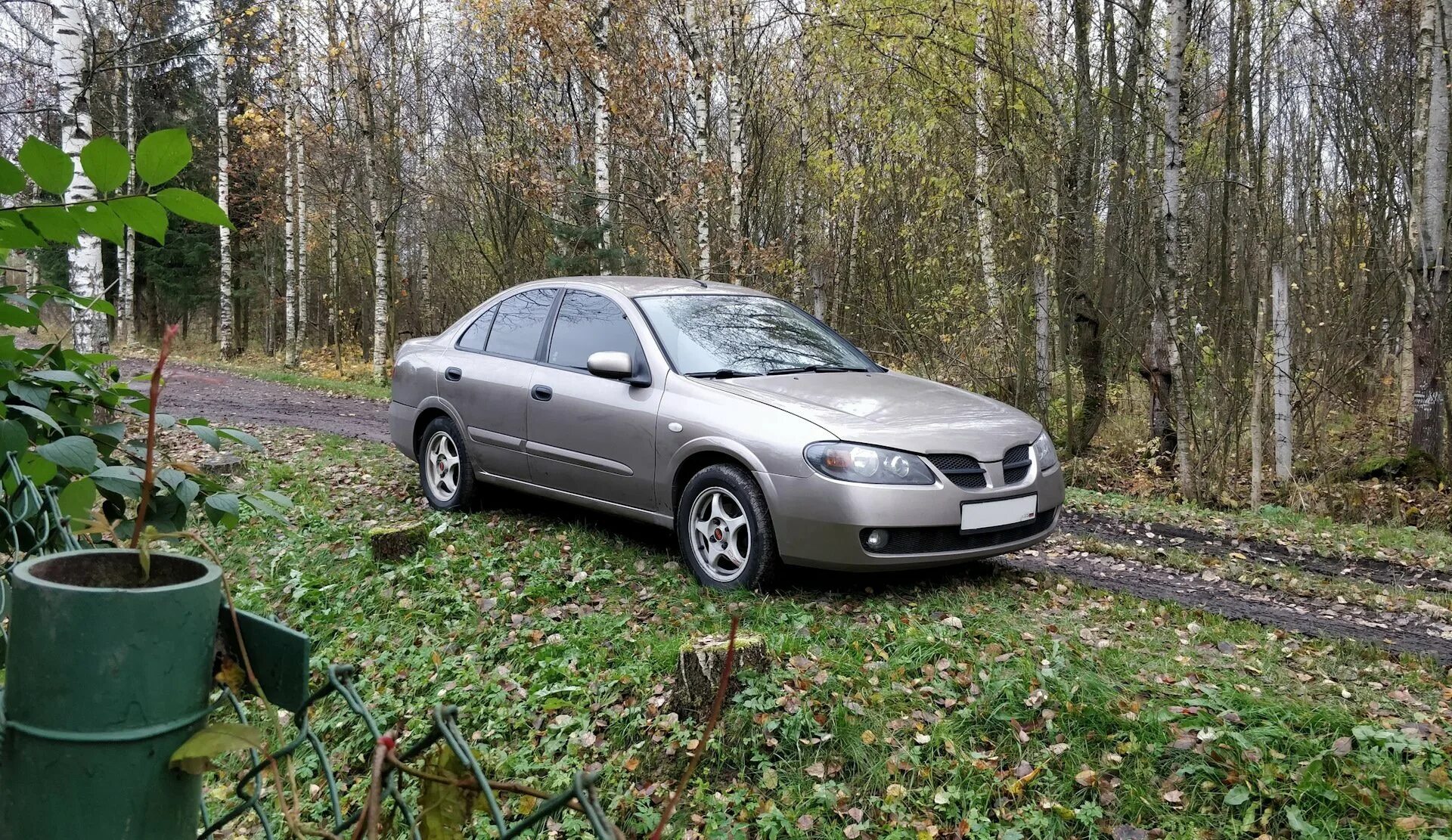 Ниссан Альмера Старая. Nissan Almera n16 серебристая. Nissan Almera Classic серо зеленый. Ниссан Альмера старенькая.