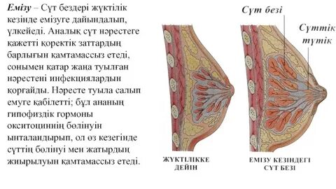 Үлкен силикон сиськилерді қысу
