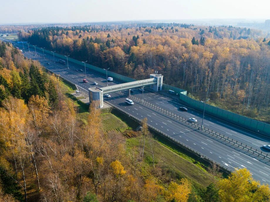 Компании российские автомобильные дороги. Зарайский Автодор. Рузский Автодор. Автодор Озеры. Автодор Петрозаводск.