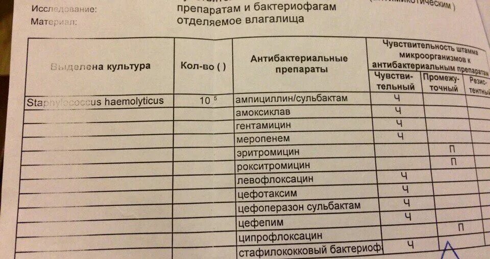 Streptococcus spp в мазке норма. Staphylococcus aureus норма в мазке. норма стафилококка в мазке из уретры у мужчин. норма стафилококка в мазке из уретры. норма стафилококка в мазке.