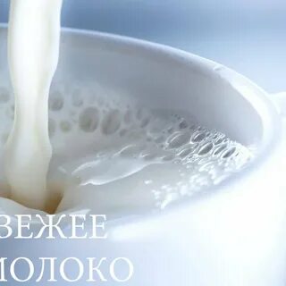 Молоко планто