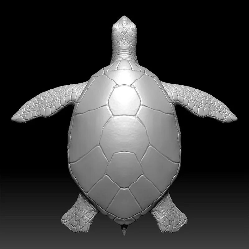 Мод черепаха. Черепаха 3д модель. черепаха 3d модель. панцирь черепахи 3 д модель. черепашка на 3д принтере.