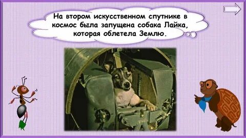 Зачем люди осваивают