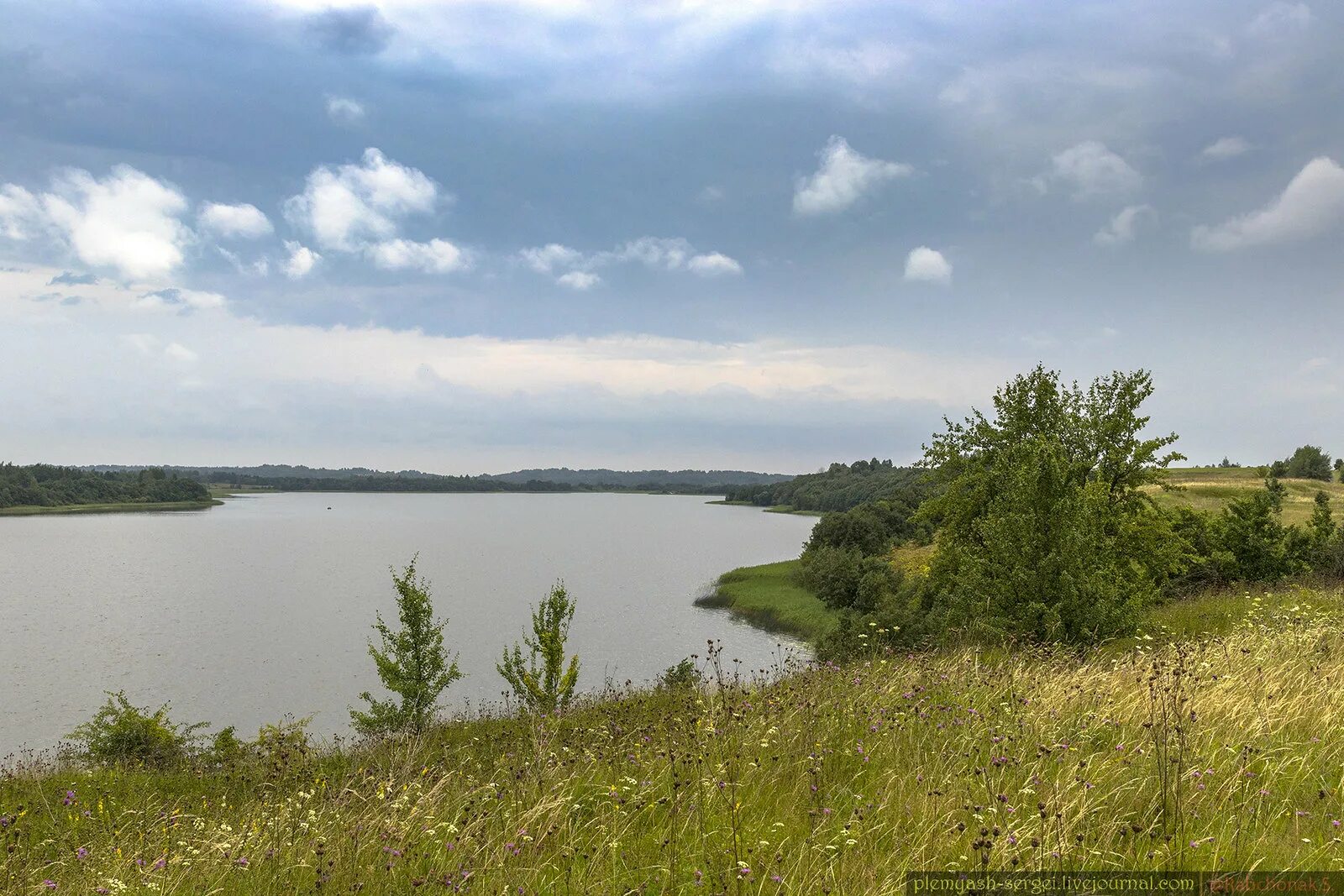 Веркудское озеро полоцк. Озеро бросно в тверской области. Никольский пруд в петергофе. Сорзово ушачский район. Озеро фролевское.