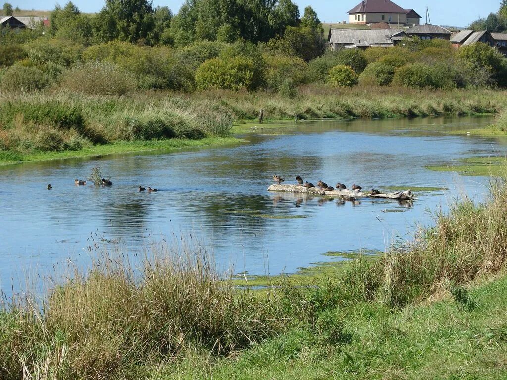 Погода в орде пермский край на 10. Село Шляпники Пермский край Ординский район. Село Орда Пермский край. Река в Орда Пермский край. Река село Орда Пермский край.