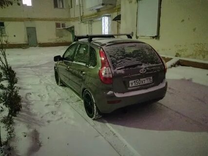 Калина 2 зимой