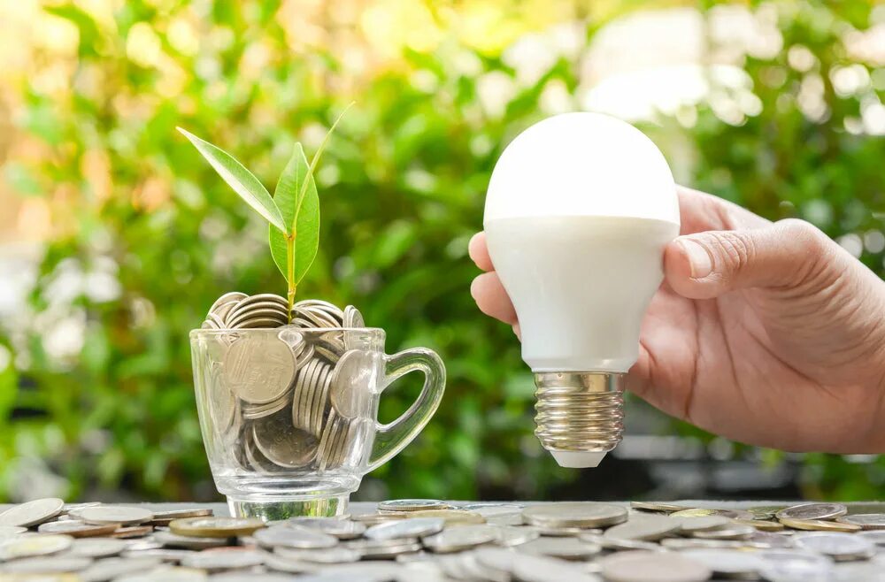 Saving led. Лампочка растет. экономия электричества стоковые фото. energy efficiency led. пластиковые стаканы экономия электроэнергии.