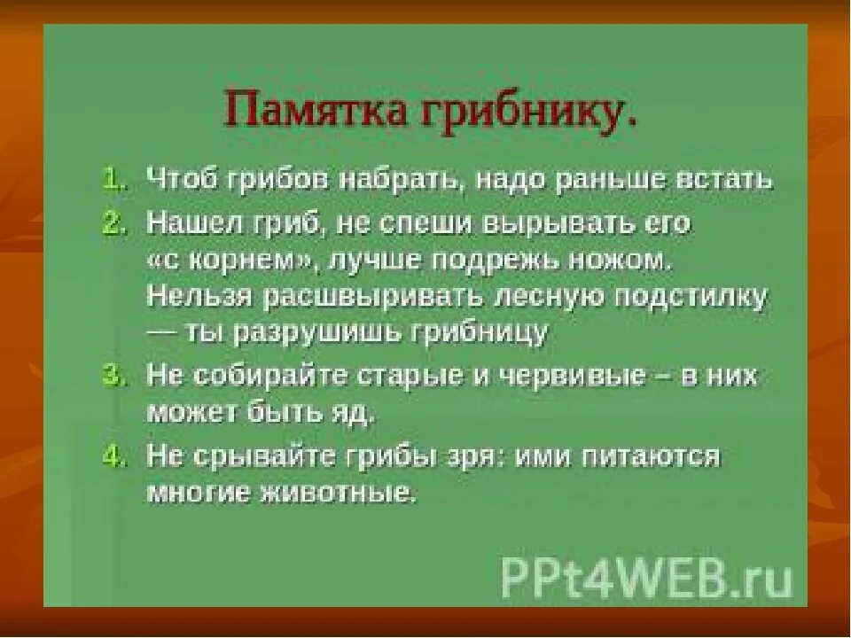Памятка как собирать грибы. Памятка по грибам. памятка грибника. составьте памятку грибника. памятка начинающему грибнику.