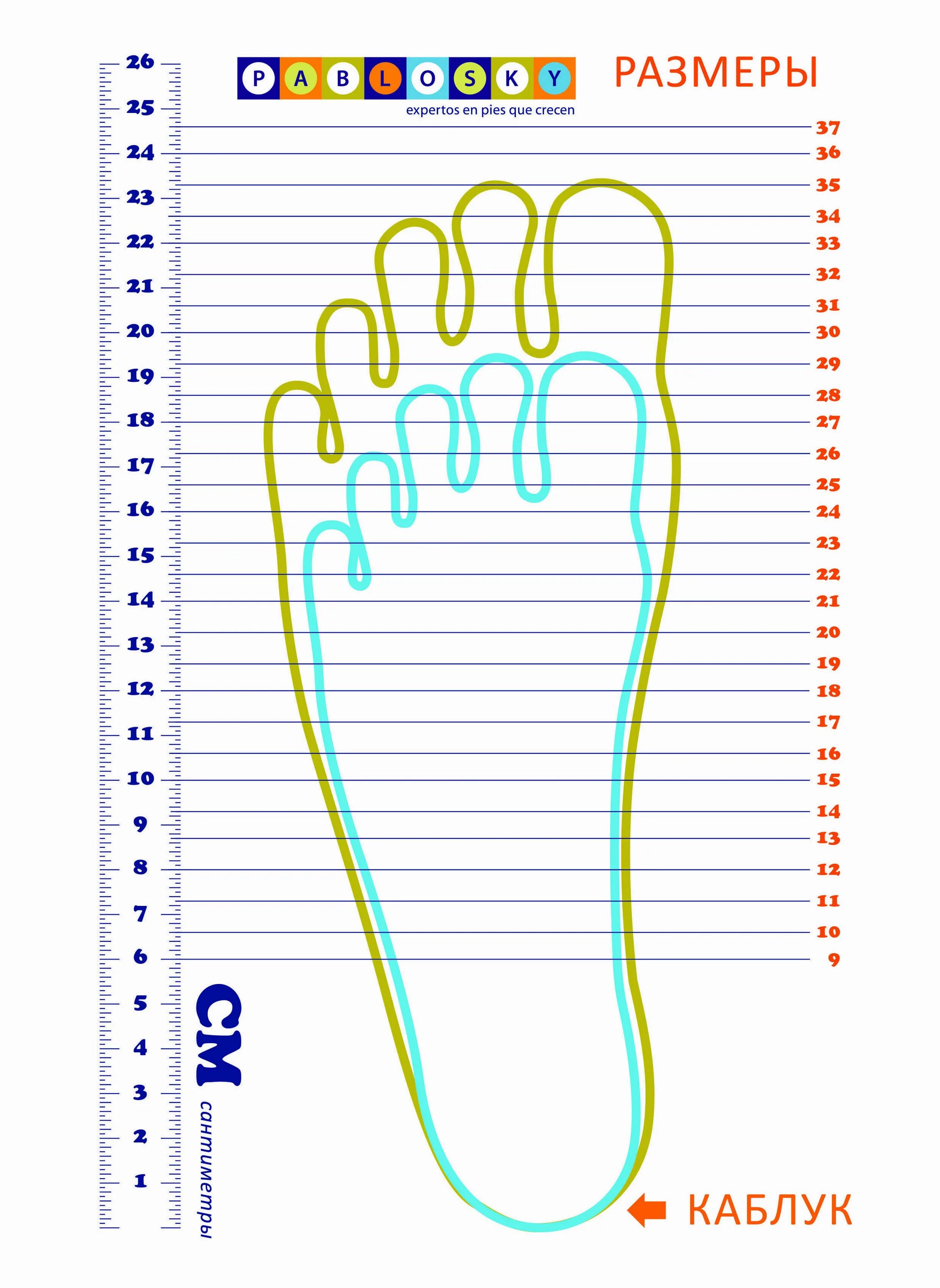 Стопа ребенка таблица. Размер ноги. Размер стельки детская обувь. Размер стелек в сантиметрах детские. Размер стопы.