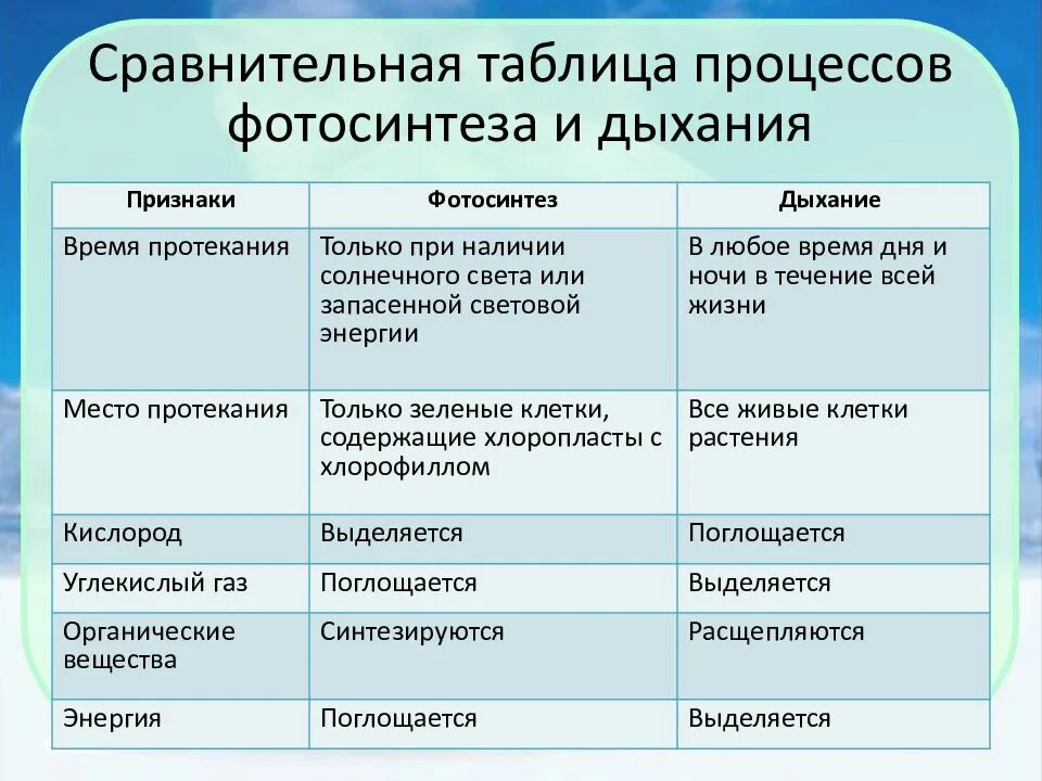 Таблица сравнение дыхания. Сравнительная таблица процессов фотосинтеза и дыхания. Сравнительная таблица фотосинтеза и дыхания. Сравнение дыхания и фотосинтеза таблица. Таблица процессов.