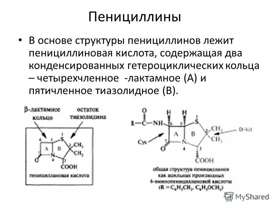 Пенициллин кислота