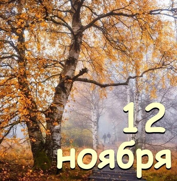 Ноябрь какой день года. 12 Ноября. 12 Ноября календарь. 12 Ноября картинки. 12 Ноября праздник.