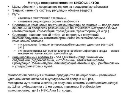 Методы совершенствования пород