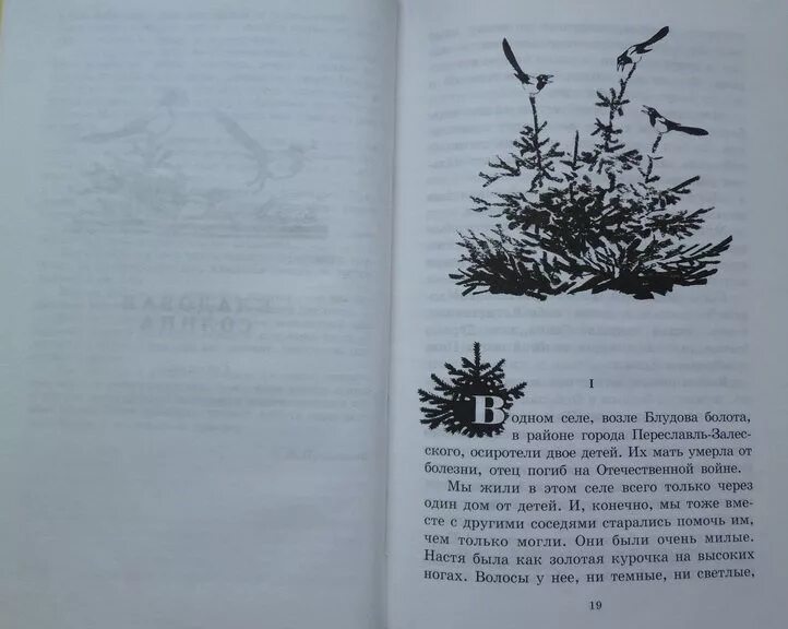 Кладовая солнца сказка быль в сокращении. Кладовая солнца. Пришвин кладовая солнца 1979 детская литература. Иллюстрация к сказке быль кладовая солнца. Пришвин кладовая солнца читать.