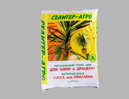 Почва для драцены