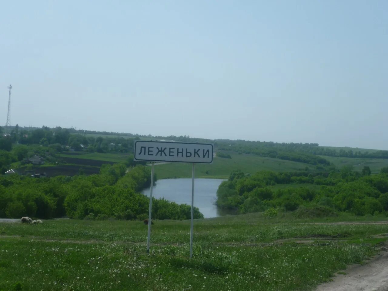 Репьевка курская область тимский. Курск курская область тимский. Орловка курская область. Репьевка курская область тимский. Село рогозцы.