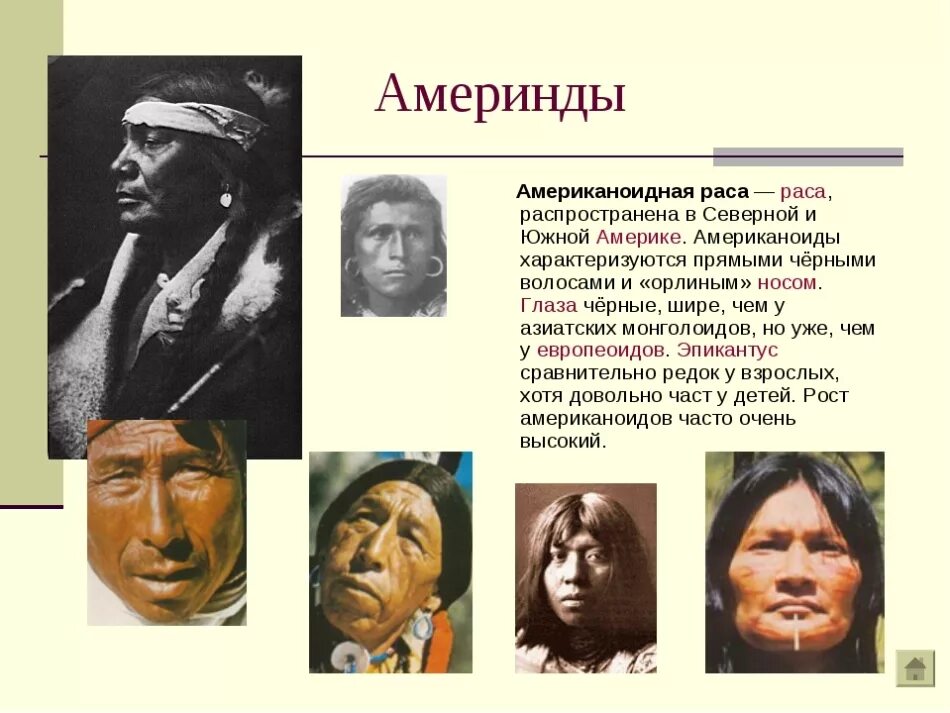Америнды раса. Америнды раса характеристика. Американоидная раса североамериканская. Расы европеоидная монголоидная негроидная американоидная.