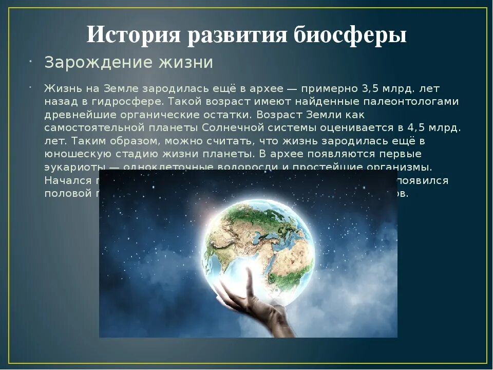 Сколько лет жизни на планете. Возникновение жизни на земле. Возникновение биосферы. Зарождение жизни Биосфера. История развития биосферы.