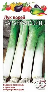 Лук порей карантанский