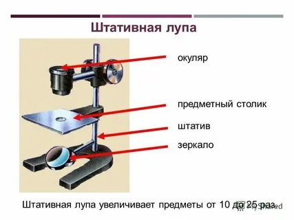 Какую роль выполняет штатив